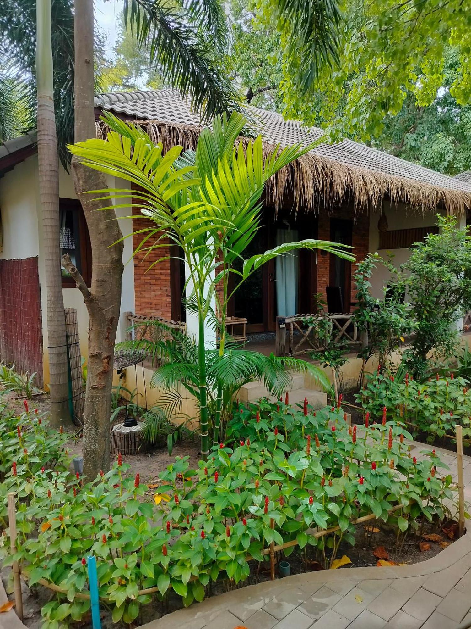 La Riviere D' Angkor Resort Ciudad de Siem Riep Exterior foto